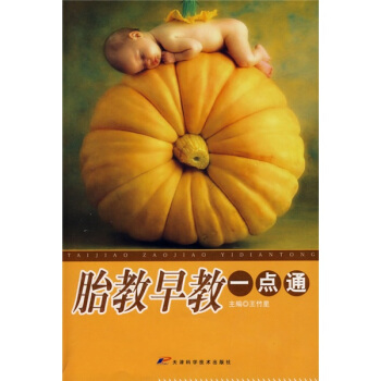 胎教早教一点通 pdf epub mobi 下载