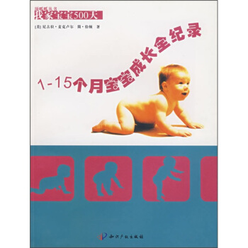 我家宝宝500天：1-15个月宝宝成长全纪录 pdf epub mobi 下载
