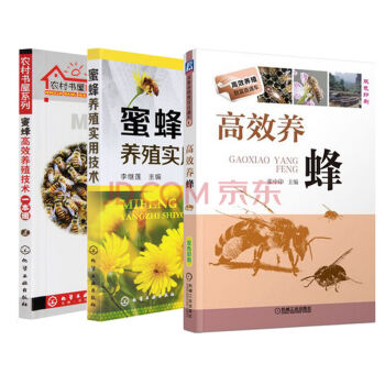 蜜蜂高效養殖技術一本通+高效養蜂+蜜蜂養殖實用技術【全3冊】養蜂技術 蜜蜂養殖 pdf epub mobi 下载