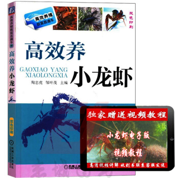 高效養小龍蝦 高效養殖緻富直通車 小龍蝦養殖技術大全教程書籍水産養殖書龍蝦養殖業