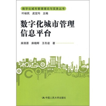数字化城市管理信息平台 pdf epub mobi 下载