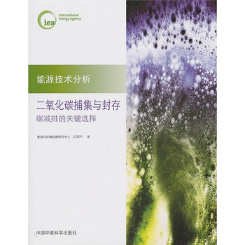 二氧化碳的捕集与封存：碳减排的关键选择 pdf epub mobi 下载