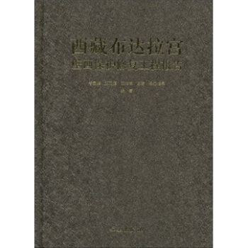西藏布达拉宫壁画保护修复工程报告 pdf epub mobi 电子书 下载