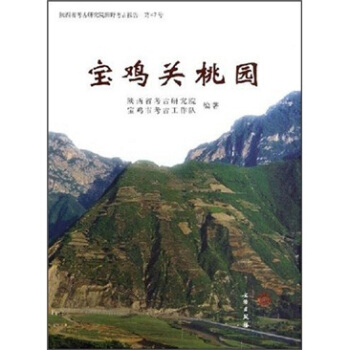 陝西省考古研究院田野考古報告（第47號）：寶雞關桃園 [GUANTAOYUAN AT BAOJI] pdf epub mobi 下载