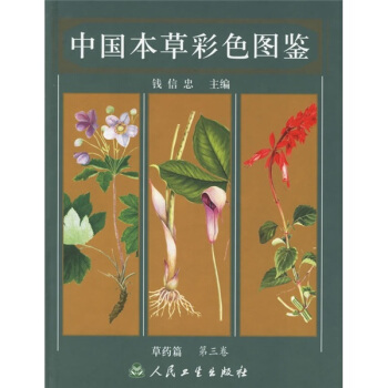 中國本草彩色圖鑒：草藥篇（第3捲） pdf epub mobi 下载