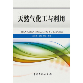 天然气化工与利用 pdf epub mobi 下载