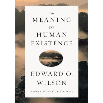 【中商原版】人的存在的意义 英文原版 The Meaning of Human Existence pdf epub mobi 下载