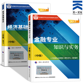 备考2018 中级经济师2017教材金融专业2本（经济基础知识+人力资源/建筑/金融选一） 金融专业 pdf epub mobi 下载