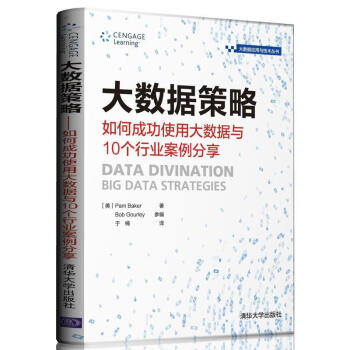 大数据策略 pdf epub mobi 下载