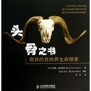 頭骨之書 pdf epub mobi 下载