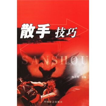 散手技巧 pdf epub mobi 下载