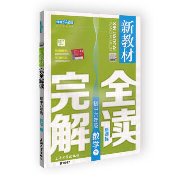 新教材完全解讀 數學 6/六年級下 新課標上海版 pdf epub mobi 下载