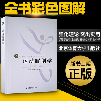 运动解剖学(彩色) 北京体育大学 运动专业教材 罗冬梅 健身健美 肌肉塑造教程全书医学