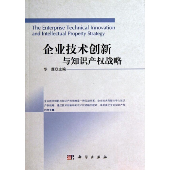 企业技术创新与知识产权战略 pdf epub mobi 下载