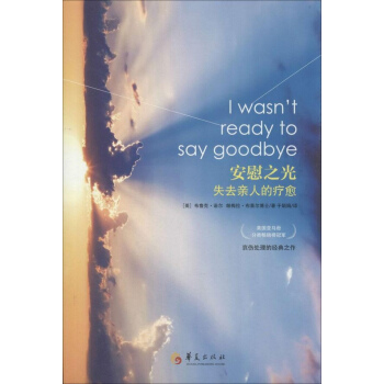 安慰之光 pdf epub mobi 下载