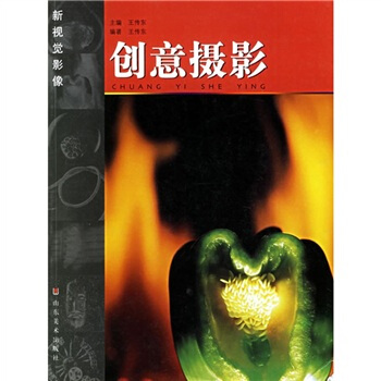 新视觉影像：创意摄影 pdf epub mobi 电子书 下载