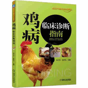 雞病臨床診斷指南 農村高效養雞技術大全 雞病診治書籍 科學飼養教程