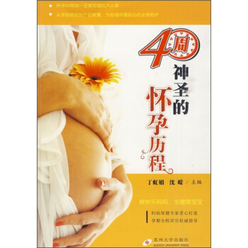40周神圣的怀孕历程 pdf epub mobi 电子书 下载
