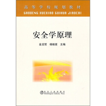 高等學校規劃教材：安全學原理 pdf epub mobi 電子書 下載