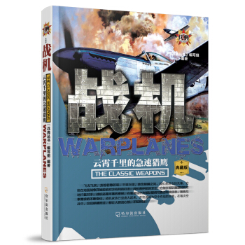 戰機：雲霄韆裏的急速獵鷹 pdf epub mobi 下载