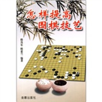怎样提高围棋技艺 pdf epub mobi 下载