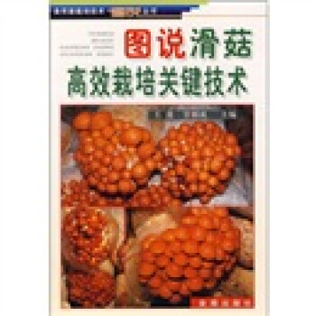图说滑菇高效栽培关键技术 pdf epub mobi 下载