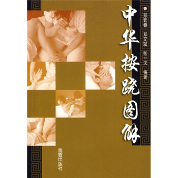 中華按蹺圖解 pdf epub mobi 下载