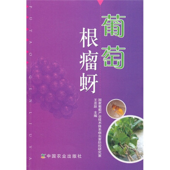 葡萄根瘤蚜