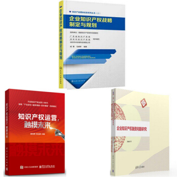 企業知識産權戰略製定與規劃+知識産權運營之觸摸未來+企業知識産權融資問題研究預售 pdf epub mobi 電子書 下載