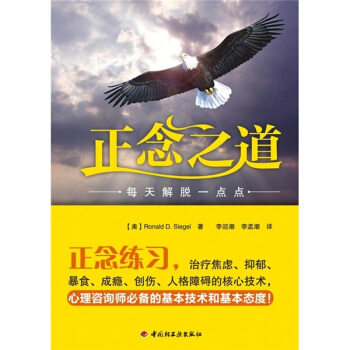 正念之道：每天解脫一點點 pdf epub mobi 下载