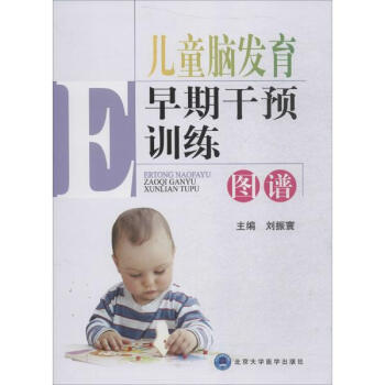 兒童腦發育早期乾預訓練圖譜 pdf epub mobi 電子書 下載