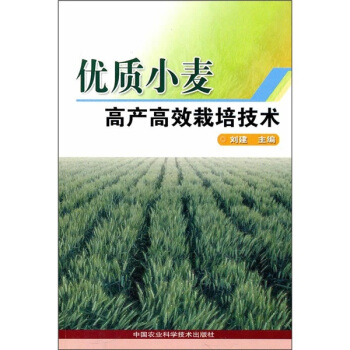 优质小麦高产高效栽培技术