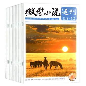 微型小說選刊雜誌12本打包2018年1-9/10/11/12期（1-6月）青春校園文學小說散文期刊 pdf epub mobi 電子書 下載
