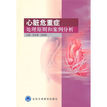 心髒危重癥處理原則和案例分析 pdf epub mobi 下载