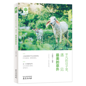 平凡的日子裏.遇見最美的意外 pdf epub mobi 下载