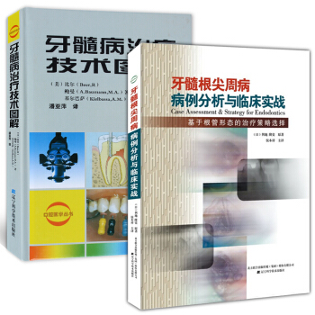 牙髓病治疗技术图解+牙髓根尖周病病例分析与临床实战:基于根管形态的治疗疾病策略选择 pdf epub mobi 下载