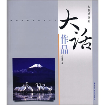 大数码系列：大话作品 pdf epub mobi 下载