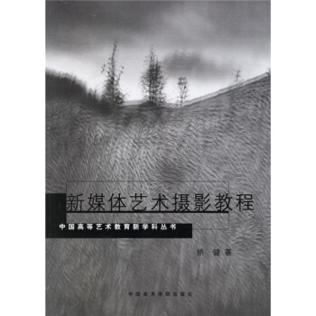 新媒体艺术摄影教程 pdf epub mobi 电子书 下载