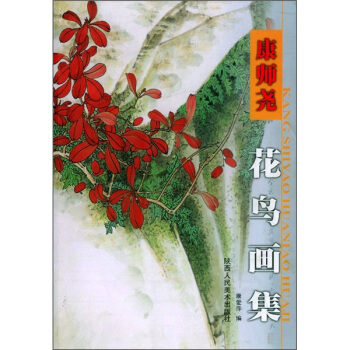 康师尧花鸟画集 pdf epub mobi 电子书 下载