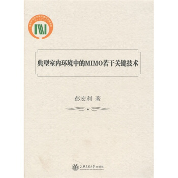 典型室内环境中的MIMO若干关键技术 pdf epub mobi 下载