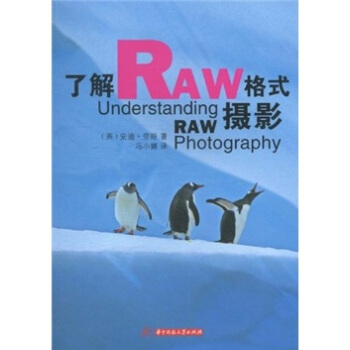 了解RAW格式摄影 [Understanding RAW Photography] pdf epub mobi 电子书 下载
