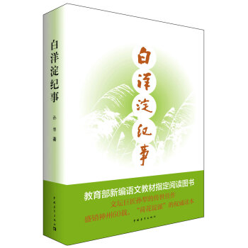 白洋澱紀事 pdf epub mobi 下载