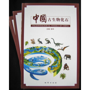 中国古生物化石 张和 地质出版社 pdf epub mobi 下载