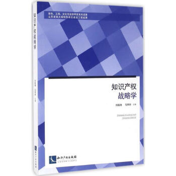 知识产权战略学 pdf epub mobi 下载