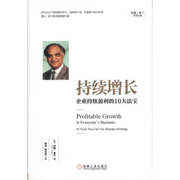 持续增长:企业持续盈利的10大法宝 pdf epub mobi 下载