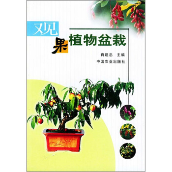观果植物盆栽 pdf epub mobi 下载