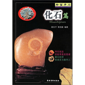 珍寶異石：化石篇 pdf epub mobi 下载