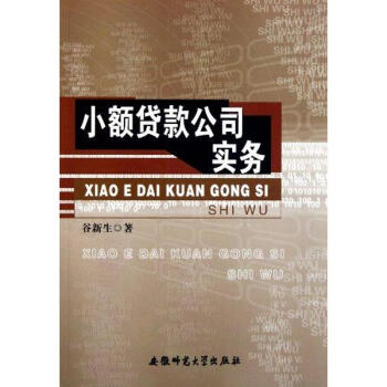 小额贷款公司实务 pdf epub mobi 下载