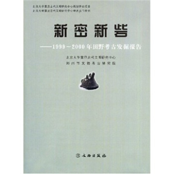 新密新砦：1999-2000年田野考古發掘報告 [Xinzhai Site in Xinmi] pdf epub mobi 下载