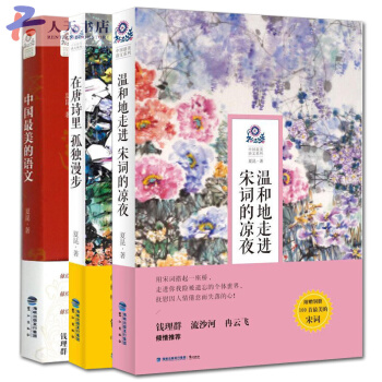 夏昆美的語文係列全集3冊溫和地走進宋詞的涼夜+在唐詩裏孤獨漫步+中國美的語文中小學語文 pdf epub mobi 下载